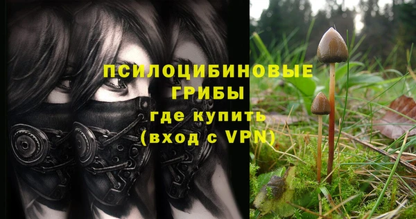 кокс Верея