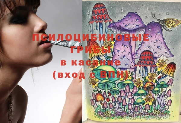 спайс Верхний Тагил